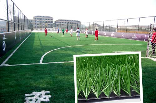 人造草坪項(xiàng)目案例