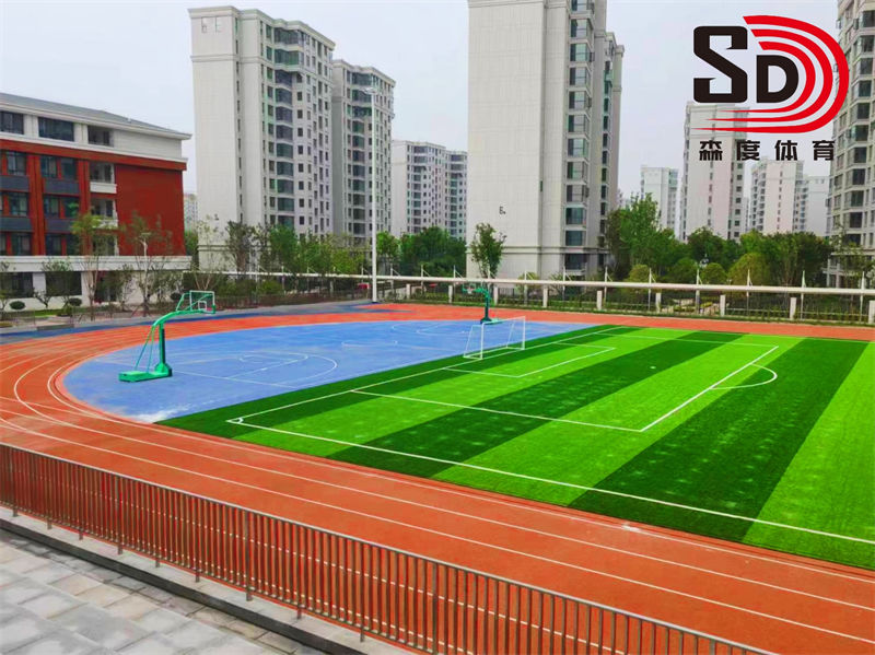 南陽市***初級(jí)中學(xué) | 混合型跑道及草坪